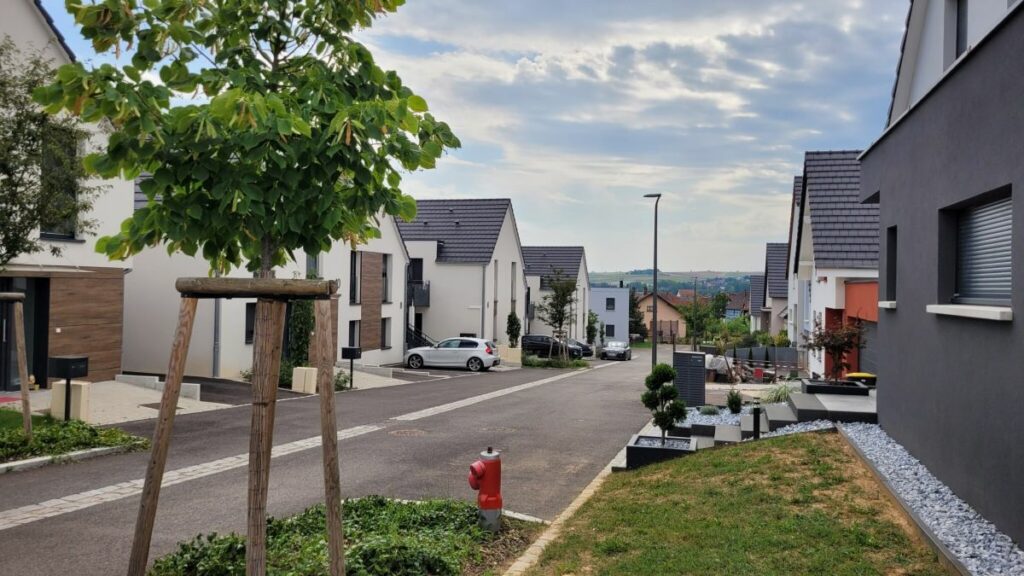 rue maison arbres