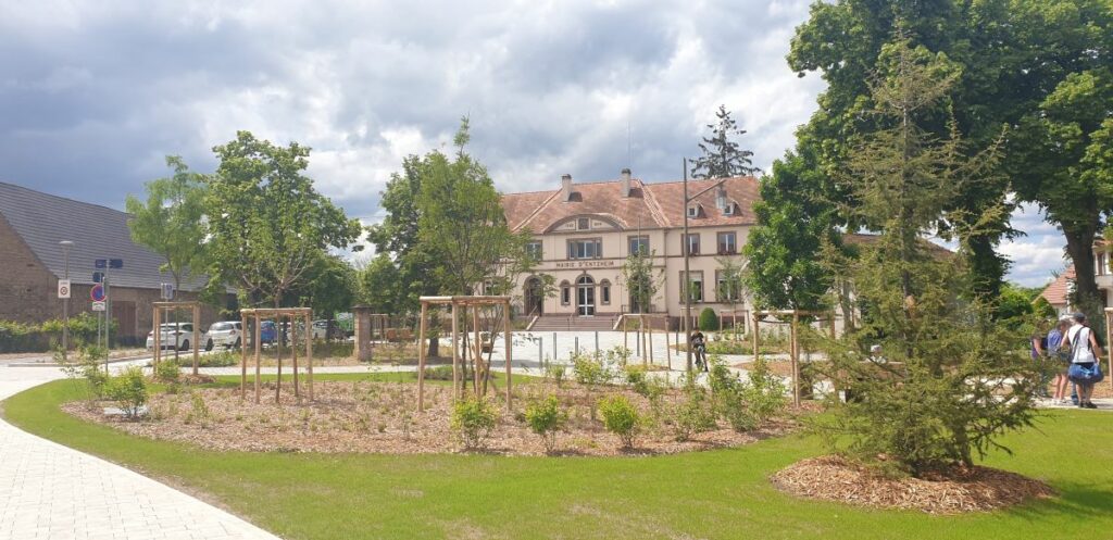 vue avant mairie et plantations mulch