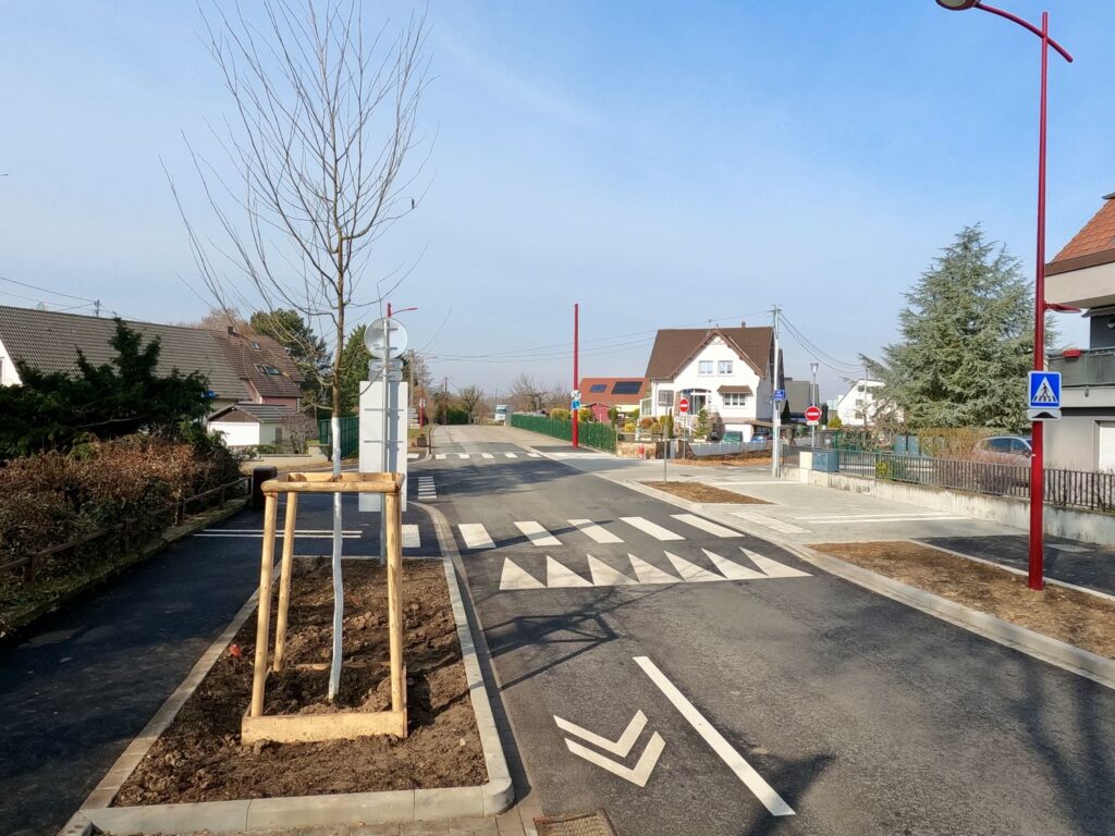 arbre au premier plan voie cyclable et ralentisseur